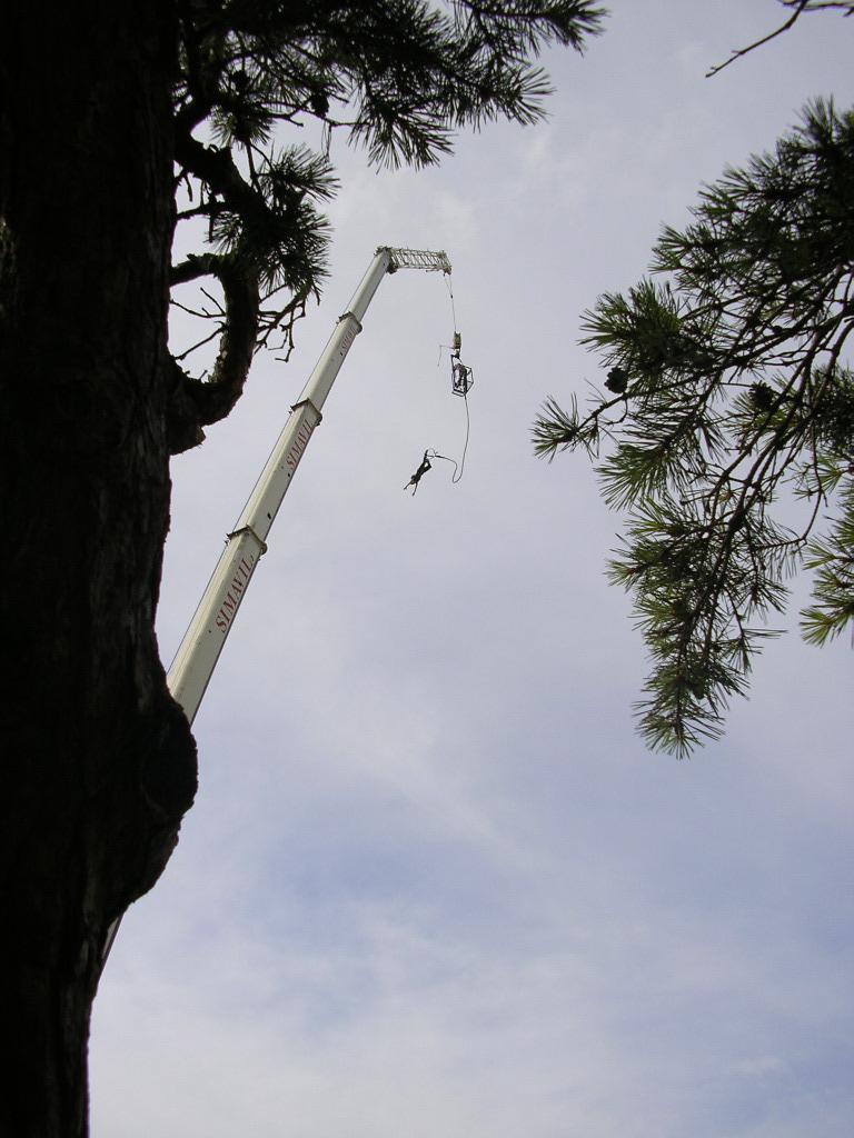 Saut a l elastique de Grue.