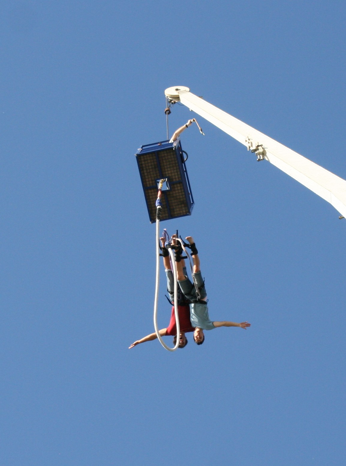 Saut élastique de Grue.